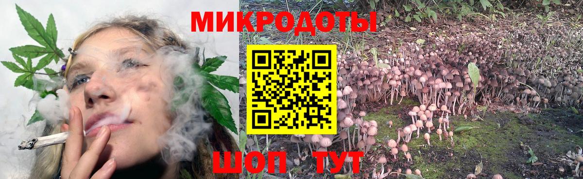 Городец  Псилоцибиновые грибы Magic Shrooms  Галлюциногенные грибы GOLDEN TEACHER  Вход с VPN 