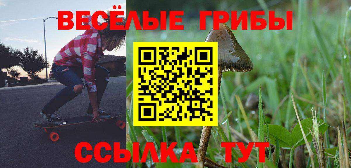 Галлюциногенные грибы мицелий Городец